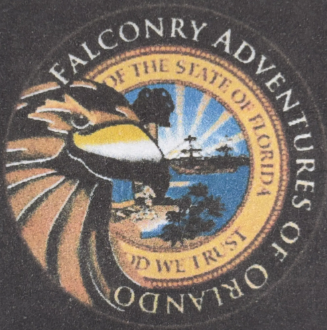 Falconry Adventures of Orlando